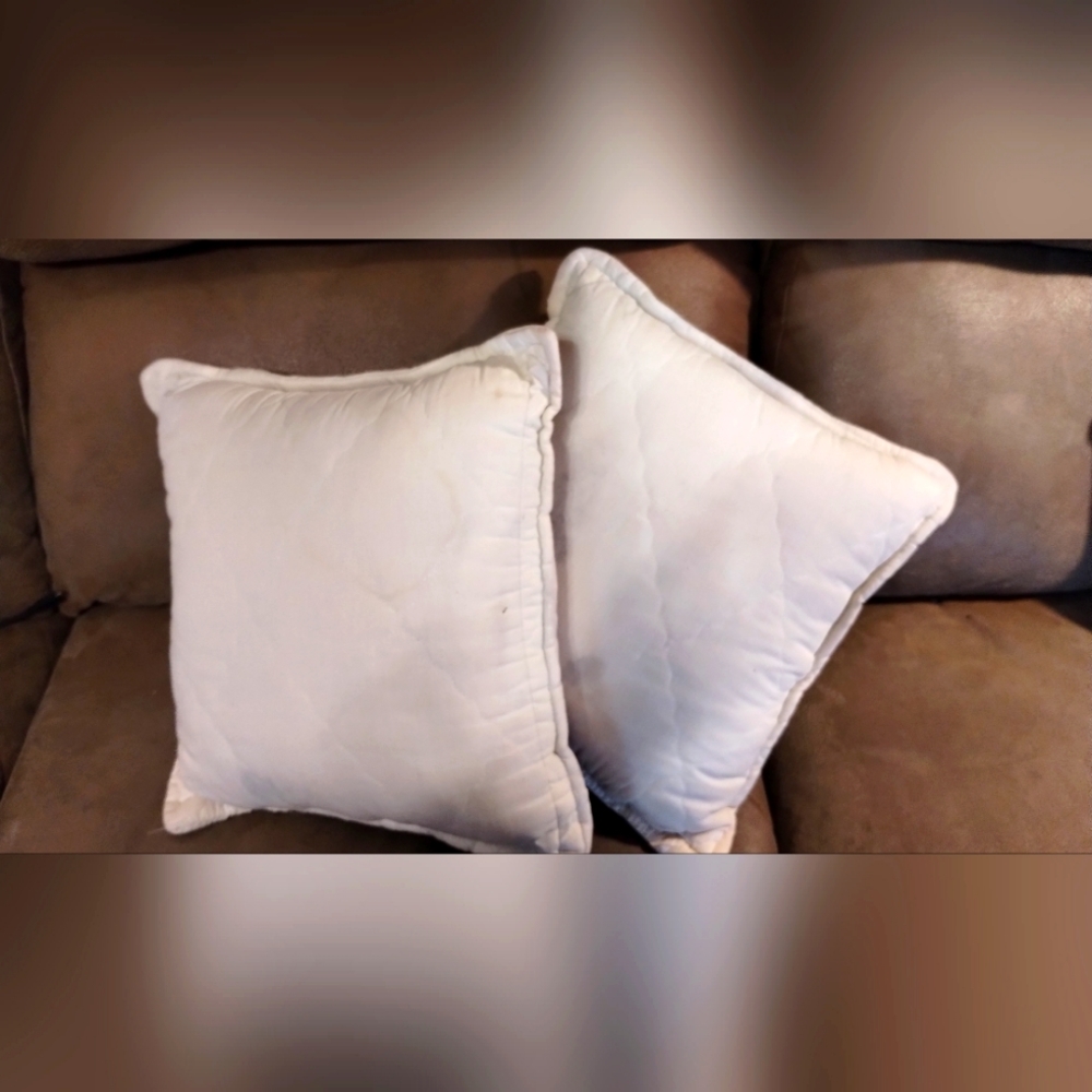 2 throw pillow